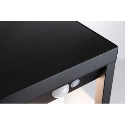 Paulmann 94572 -LED/5,5W IP44 Saulės energija įkraunamas sieninis šviestuvas su jutikliu MARISOL 3,7V 2000 mAh