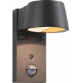 Paulmann 94714 - LED/6W IP44 Lauko sieninis šviestuvas su jutikliu CAPERA 230V 2200/3000K