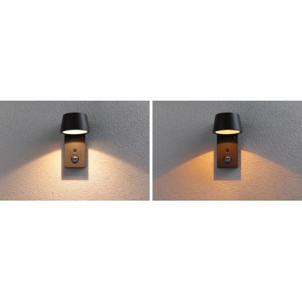 Paulmann 94714 - LED/6W IP44 Lauko sieninis šviestuvas su jutikliu CAPERA 230V 2200/3000K