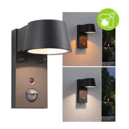 Paulmann 94714 - LED/6W IP44 Lauko sieninis šviestuvas su jutikliu CAPERA 230V 2200/3000K