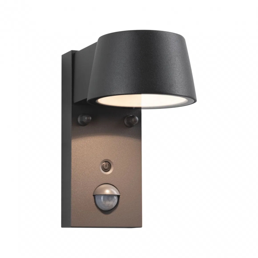 Paulmann 94714 - LED/6W IP44 Lauko sieninis šviestuvas su jutikliu CAPERA 230V 2200/3000K