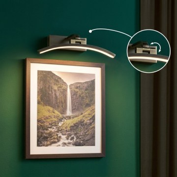 Paulmann 95559 - LED/6W Paveikslų šviestuvas BENTO 230V 30 cm žalvaris