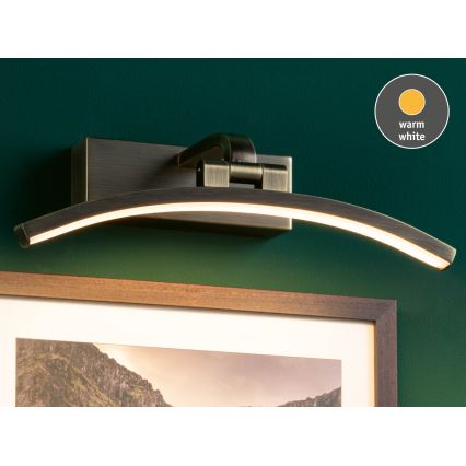 Paulmann 95559 - LED/6W Paveikslų šviestuvas BENTO 230V 30 cm žalvaris