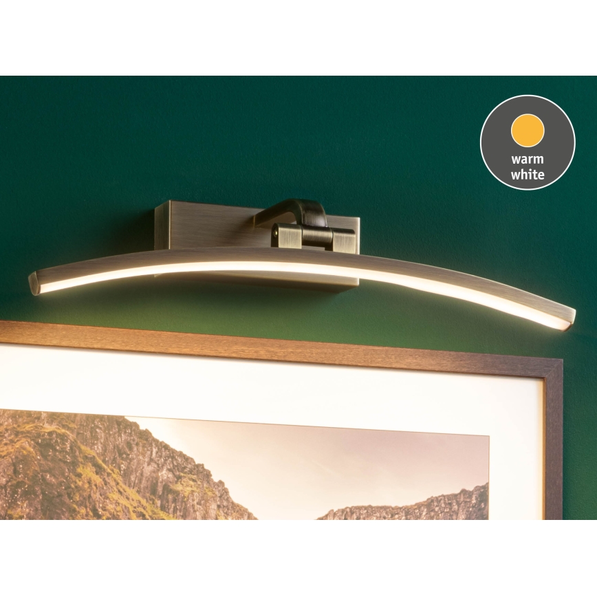 Paulmann 95560 - LED/8,5W Paveikslų šviestuvas BENTO 230V 40 cm žalvaris
