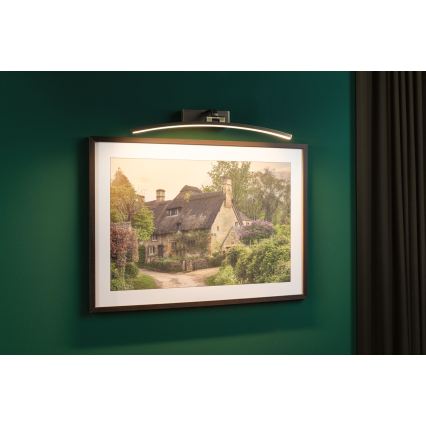 Paulmann 95561 - LED/10 W paveikslų šviestuvas BENTO 230 V 50 cm žalvaris