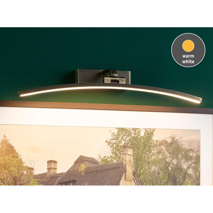 Paulmann 95561 - LED/10 W paveikslų šviestuvas BENTO 230 V 50 cm žalvaris