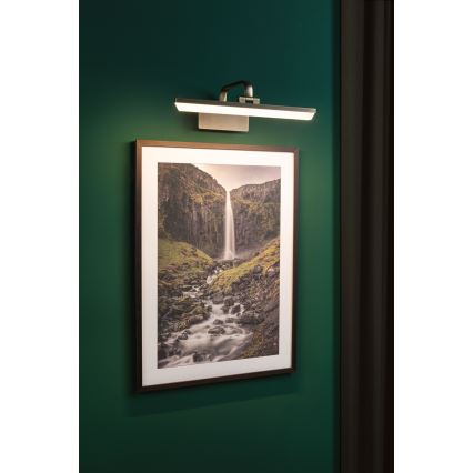 Paulmann 95569 - LED/9,5W paveikslų šviestuvas RENAN, 230V, 40 cm, žalvario apdaila