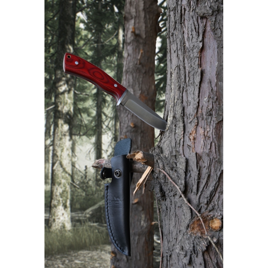 Peilis su odiniu dėklu 21 cm