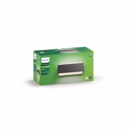 Philips - LED  Reguliuojamas lauko šviestuvas 2xLED/4,5W IP44