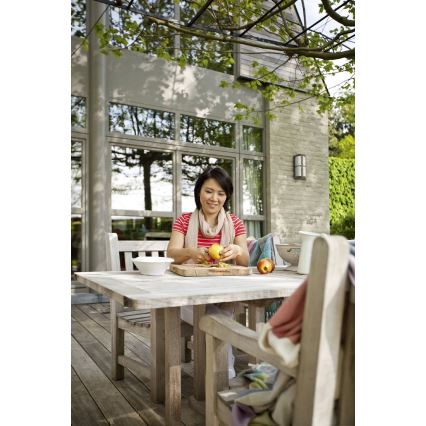 Philips 17249/42/16 - Sieninis lauko šviestuvas MYGARDEN NECTAR 1xE27/20W/230V
