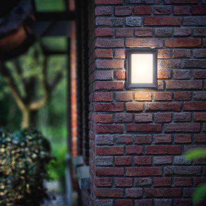 Philips - Lauko sieninis šviestuvas LED/6W/230V IP44