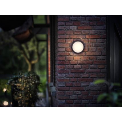 Philips - LED lauko šviestuvas 1xLED/3,5W IP44