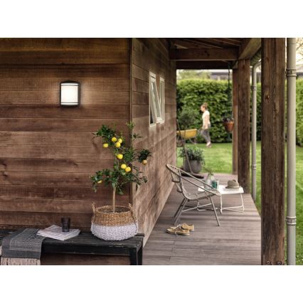 Philips - Lauko sieninis šviestuvas LED/6W/230V IP44