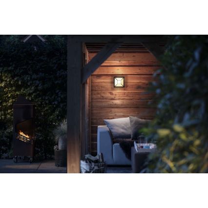 Philips - LED sieninis lauko šviestuvas LED/12W IP44