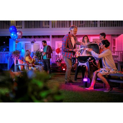 Philips - Išplėtimo rinkinys lauko LED RGB taškinis šviestuvas Hue LILY LED/8W/230V IP65