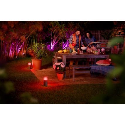 Philips - Akcentinis lauko LED šviestuvas Hue LILY LED/8W/230V IP65