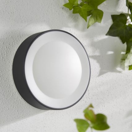 Philips - LED RGBW Reguliuojamas lauko sieninis šviestuvas Hue DAYLO LED/15W/230V 2000-6500K IP44