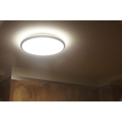 Philips 30804/87/16 - LED lubinis šviestuvas MYLIVING TWIRL 30K LED/11W/230V