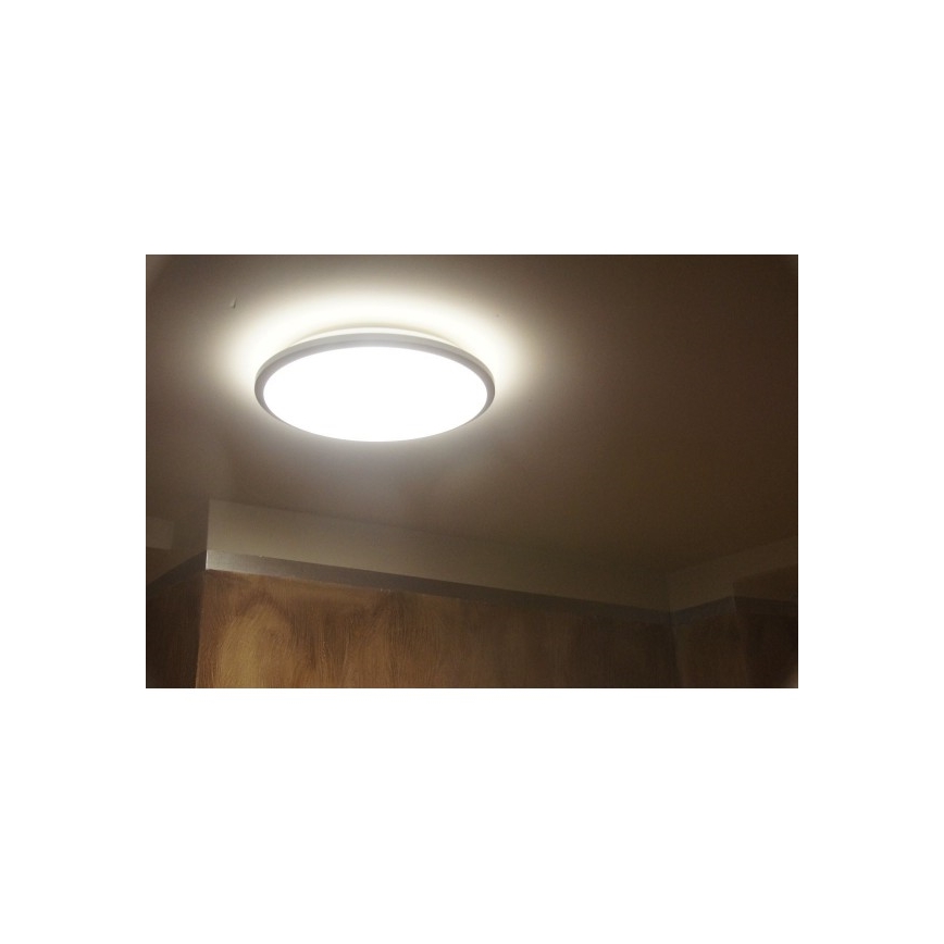 Philips 30804/87/16 - LED lubinis šviestuvas MYLIVING TWIRL 30K LED/11W/230V