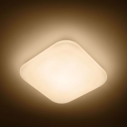 Philips - LED lubinis šviestuvas 1xLED/17W/230V 2700K