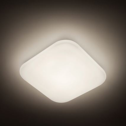 Philips - LED lubinis šviestuvas 1xLED/17W/230V 4000K