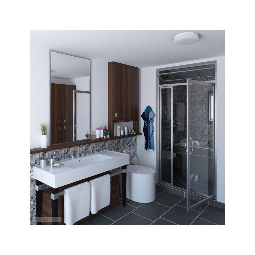 Philips - Lubinis LED vonios šviestuvas LED/7,5W/230V IP44