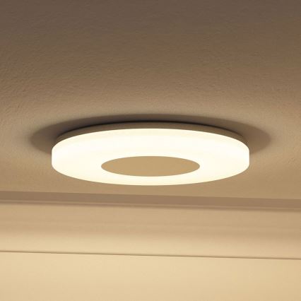 Philips 32070/17/16 - Vonios šviestuvas MYBATHROOM BEACH 1x2GX13/40W/230V