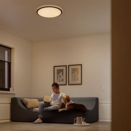 Philips - Reguliuojamas lubinis LED šviestuvas LED/18W/230V