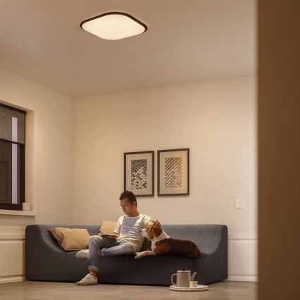 Philips - Reguliuojamas lubinis LED šviestuvas LED/18W/230V