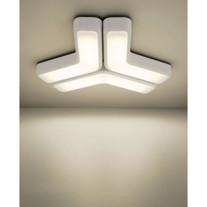 Philips 33100/31/16 - Sieninis šviestuvas MYLIVING PLAYFUL 2x2G7/11W balta