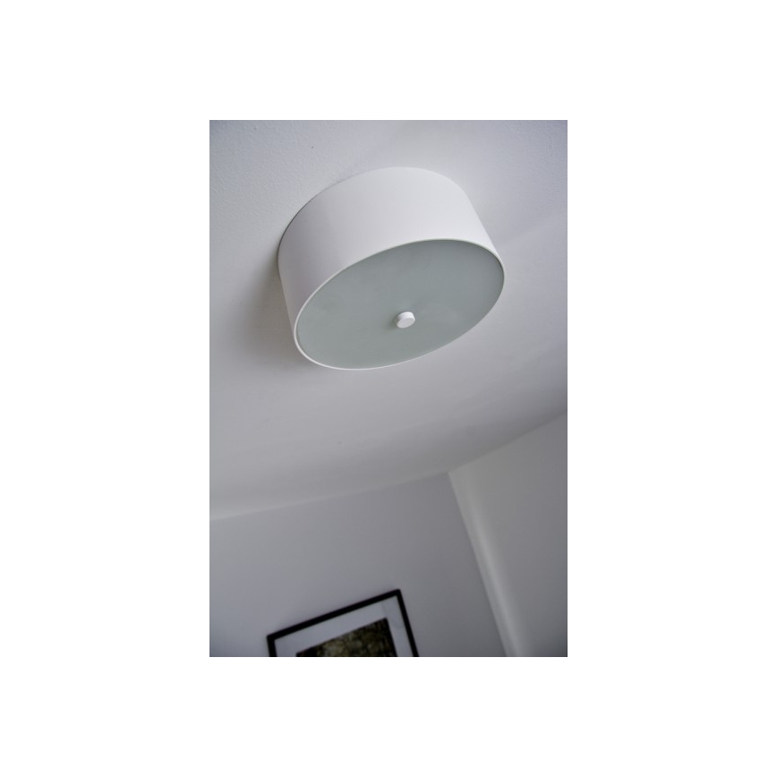 Philips 40832/31/16 - Pritemdomas lubinis šviestuvas MYLIVING SEQUENS LED/7,5W/230V
