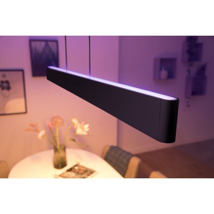 Philips – LED sietynas on a String Hue ENSIS White And Colour Ambiance 2×LED/39W/230V