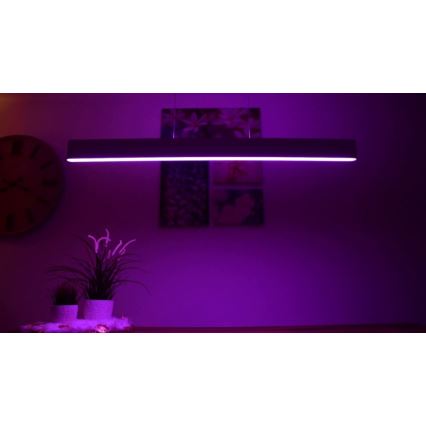 Philips – LED sietynas on a String Hue ENSIS White And Colour Ambiance 2×LED/39W/230V