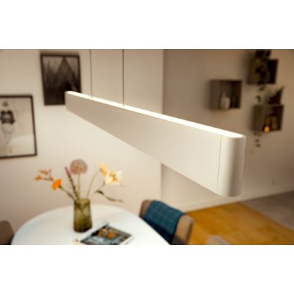 Philips – LED sietynas on a String Hue ENSIS White And Colour Ambiance 2×LED/39W/230V