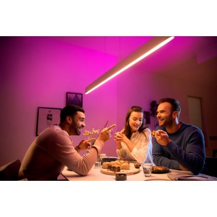 Philips – LED sietynas on a String Hue ENSIS White And Colour Ambiance 2×LED/39W/230V