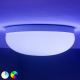 Philips - LED RGBW Reguliuojamas lubinis šviestuvas Hue FLOURISH White And Color Ambiance LED/32W/230V