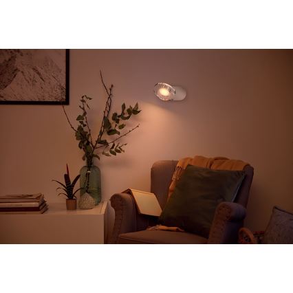 Philips - Reguliuojamas LED taškinis šviestuvas LED/4,5W/230V