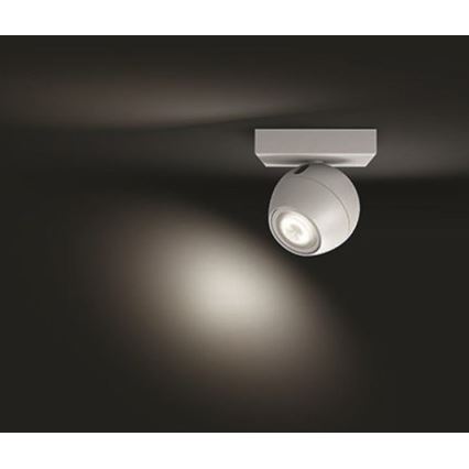 Philips - LED reguliuojamas taškinis šviestuvas Hue BUCKRAM 1xGU10/5W/230V + nuotolinis valdymas