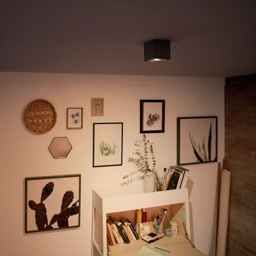 Philips - Reguliuojamo ryškumo LED taškinis šviestuvas LED/4,5W/230V