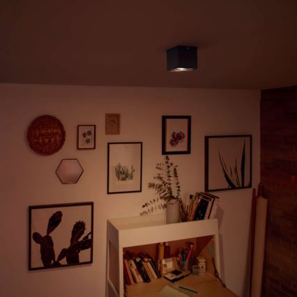 Philips - Reguliuojamo ryškumo LED taškinis šviestuvas LED/4,5W/230V