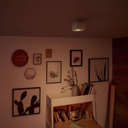 Philips - dimeriuojamas LED taškinis šviestuvas LED/4,5W/230V