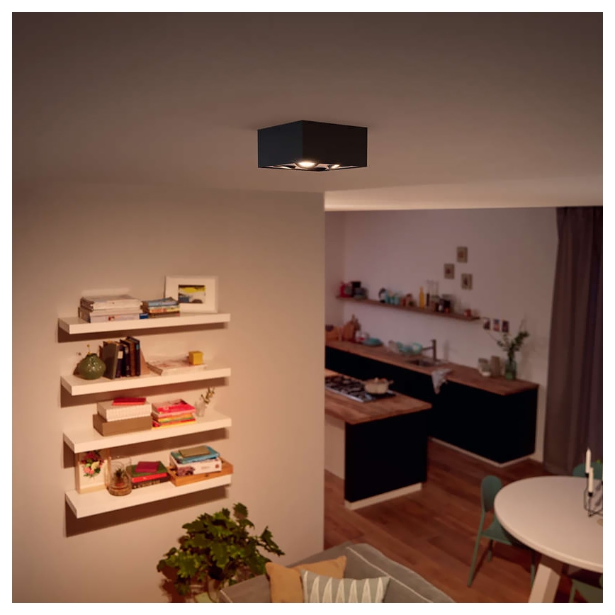 Philips - LED pritemdomas akcentinis apšvietimas 4xLED/4,5W/230V