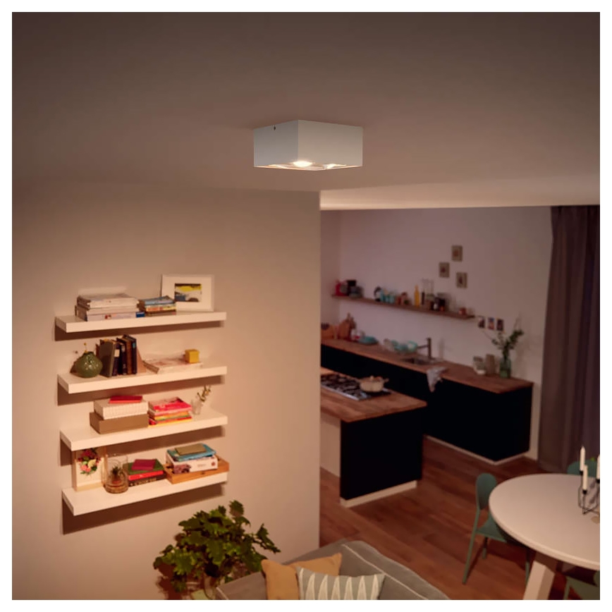 Philips - LED pritemdomas akcentinis apšvietimas 4xLED/4,5W/230V