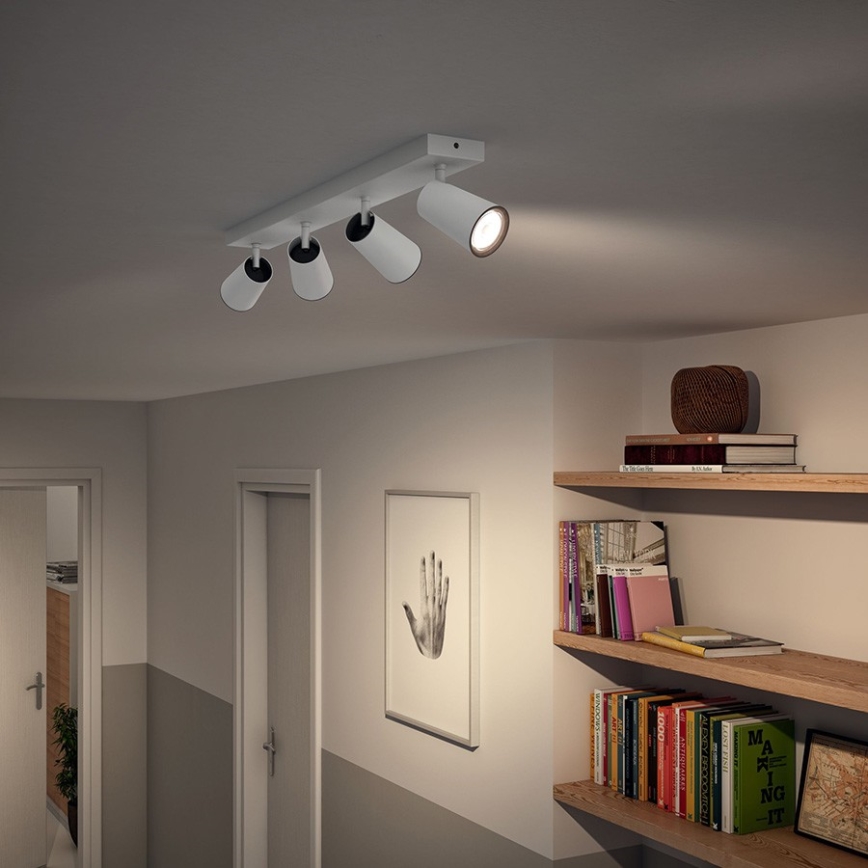 Philips - Akcentinis apšvietimas 4xGU10/5,5W/230V