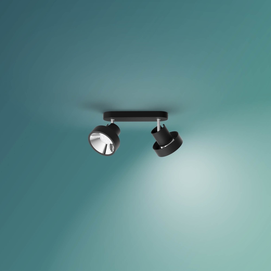 Philips 50602/30/P0 - LED Reguliuojamas akcentinis šviestuvas BUKKO 2xLED/4,5W/230V