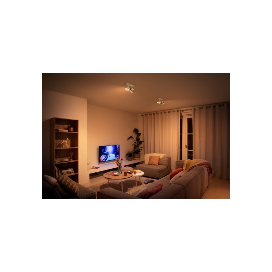 Philips 50602/31/P0 - LED Akcentinis šviestuvas BUKKO 2xLED/4,5W/230V