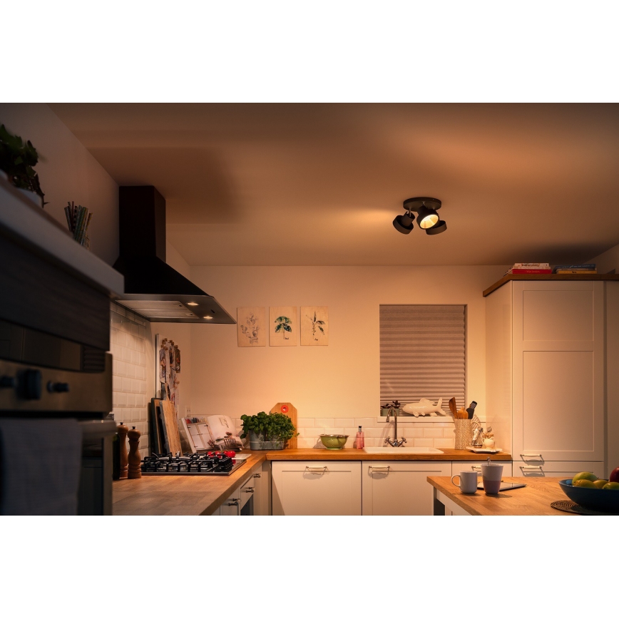Philips 50603/30/P0 - LED Reguliuojamas akcentinis šviestuvas BUKKO 3xLED/4,3W/230V