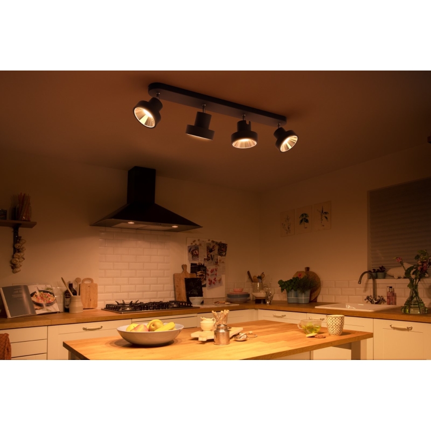 Philips 50604/30/P0 - LED Akcentinis šviestuvas BUKKO 4xLED/4,3W/230V