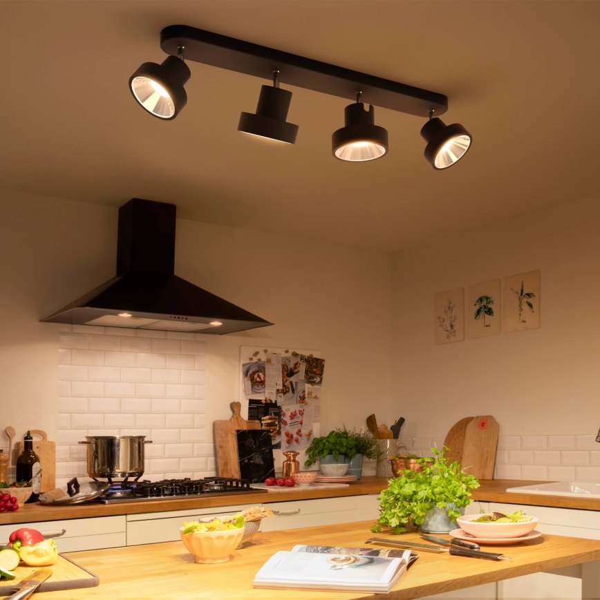 Philips 50604/30/P0 - LED Akcentinis šviestuvas BUKKO 4xLED/4,3W/230V