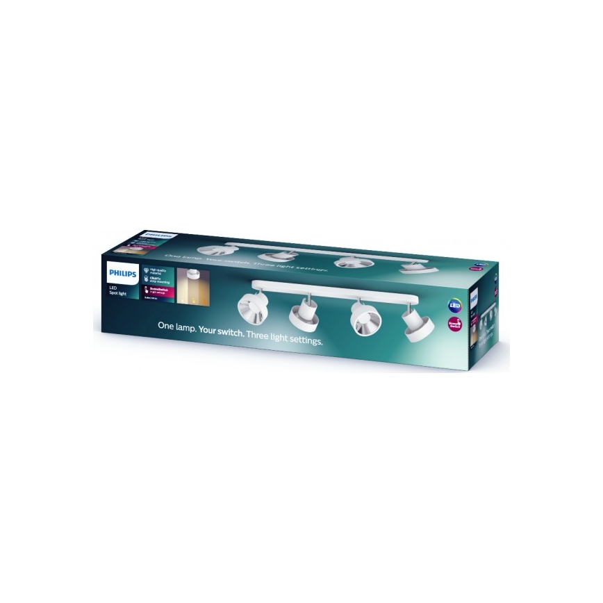 Philips 50604/31/P0 - LED Akcentinis šviestuvas BUKKO 4xLED/4,3W/230V